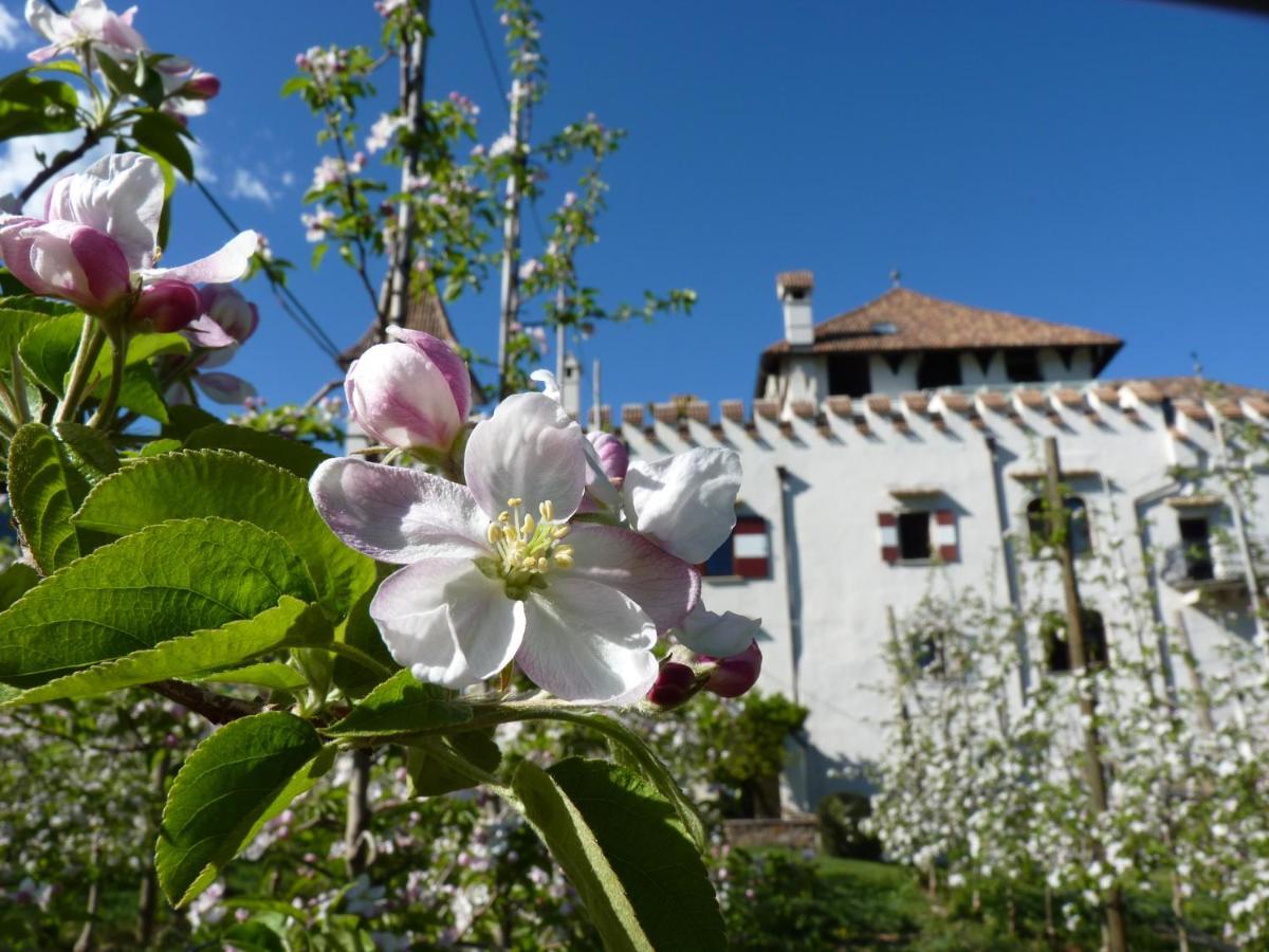Apartments Schloss Paschbach Appiano Sulla Strada Del Vino Exteriér fotografie