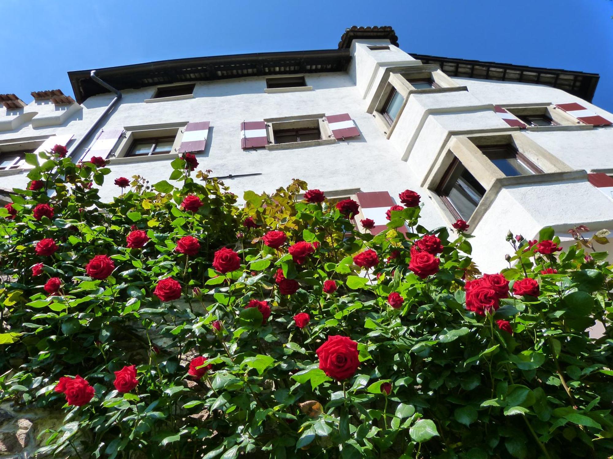 Apartments Schloss Paschbach Appiano Sulla Strada Del Vino Exteriér fotografie