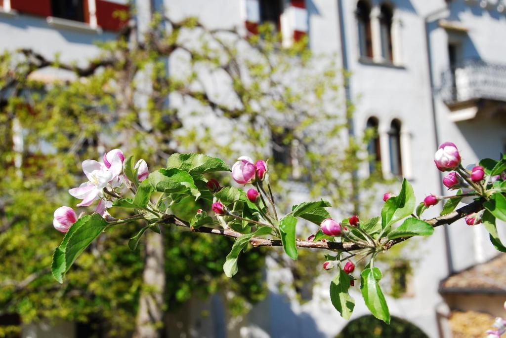 Apartments Schloss Paschbach Appiano Sulla Strada Del Vino Exteriér fotografie