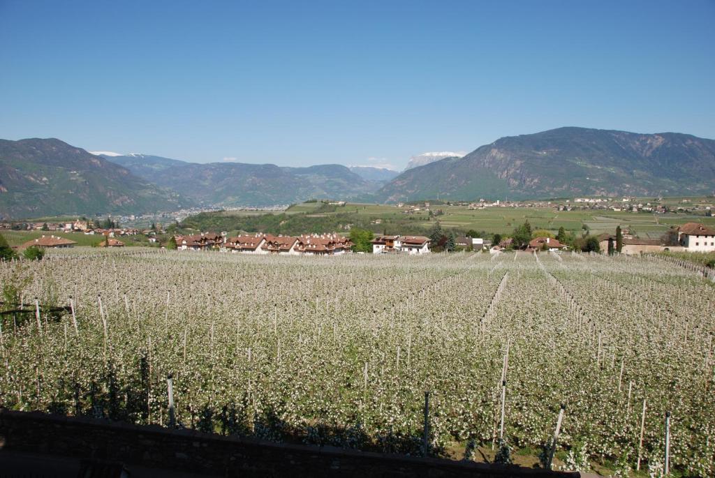 Apartments Schloss Paschbach Appiano Sulla Strada Del Vino Exteriér fotografie