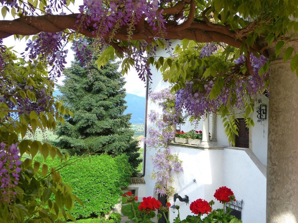 Apartments Schloss Paschbach Appiano Sulla Strada Del Vino Exteriér fotografie